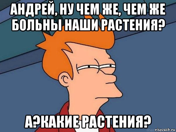 андрей, ну чем же, чем же больны наши растения? а?какие растения?, Мем  Фрай (мне кажется или)