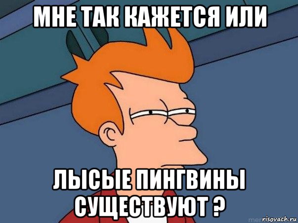 мне так кажется или лысые пингвины существуют ?, Мем  Фрай (мне кажется или)