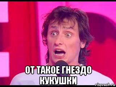  от такое гнездо кукушки
