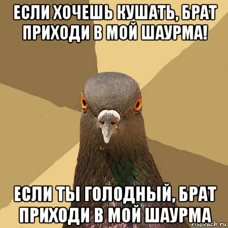 если хочешь кушать, брат приходи в мой шаурма! если ты голодный, брат приходи в мой шаурма