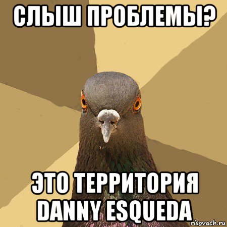 слыш проблемы? это территория danny esqueda, Мем голубь