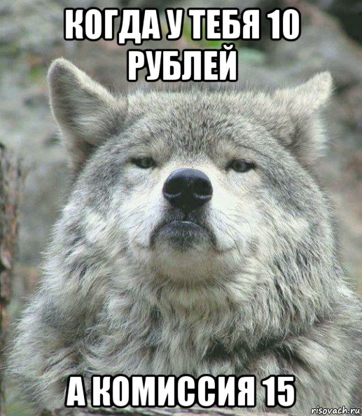 когда у тебя 10 рублей а комиссия 15, Мем    Гордый волк