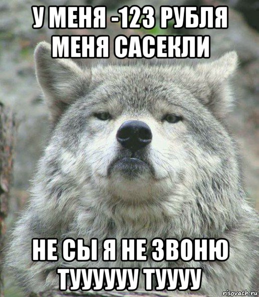 у меня -123 рубля меня сасекли не сы я не звоню туууууу туууу, Мем    Гордый волк