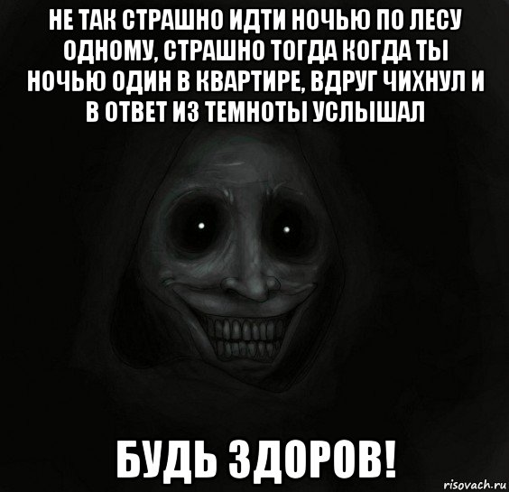 не так страшно идти ночью по лесу одному, страшно тогда когда ты ночью один в квартире, вдруг чихнул и в ответ из темноты услышал будь здоров!, Мем Ночной гость