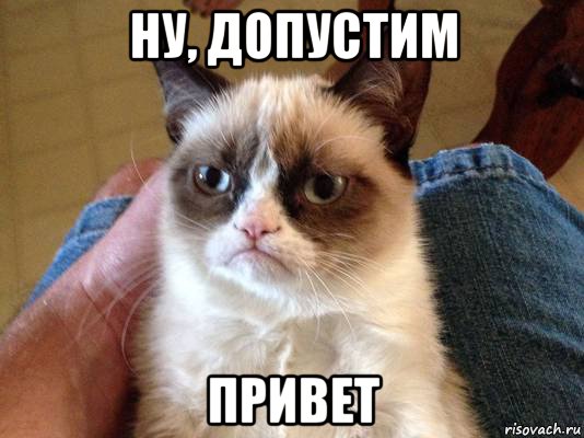 ну, допустим привет, Мем grumpy