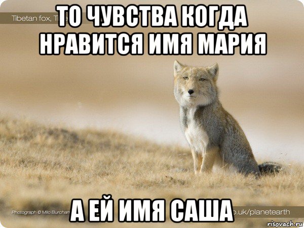 то чувства когда нравится имя мария а ей имя саша