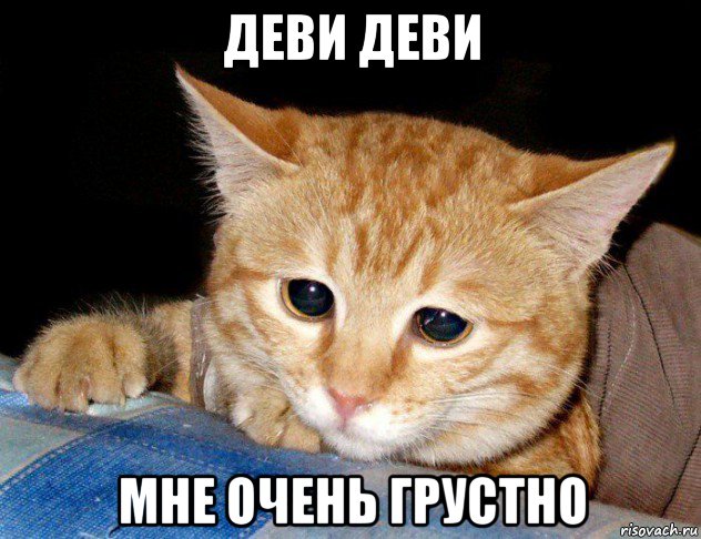деви деви мне очень грустно, Мем грустный кот