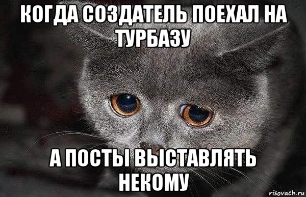 когда создатель поехал на турбазу а посты выставлять некому, Мем  Грустный кот