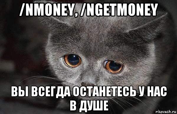 /nmoney, /ngetmoney вы всегда останетесь у нас в душе, Мем  Грустный кот