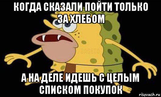 когда сказали пойти только за хлебом а на деле идешь с целым списком покупок