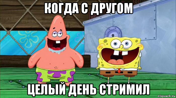 когда с другом целый день стримил