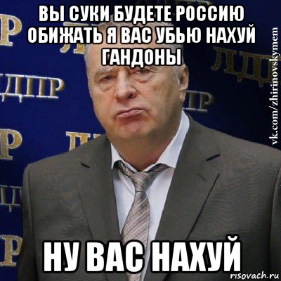 вы суки будете россию обижать я вас убью нахуй гандоны ну вас нахуй, Мем Хватит это терпеть (Жириновский)