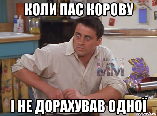 коли пас корову і не дорахував одної, Мем Испуганный Джоуи из Друзей ММ