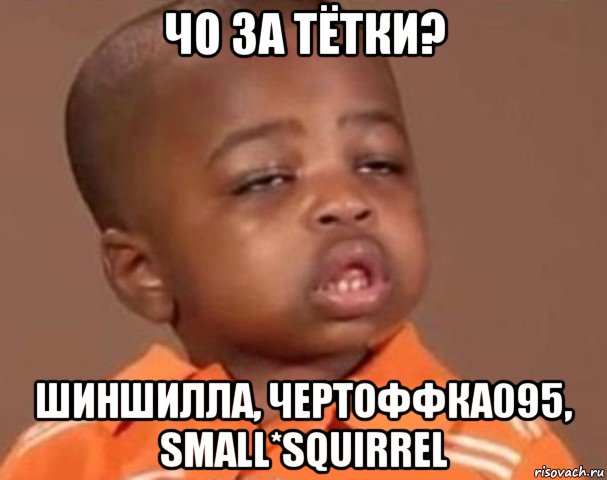 чо за тётки? шиншилла, чeртоффка095, small*squirrel, Мем  Какой пацан (негритенок)