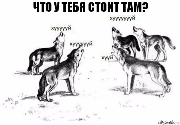 что у тебя стоит там?, Комикс Когда хочешь