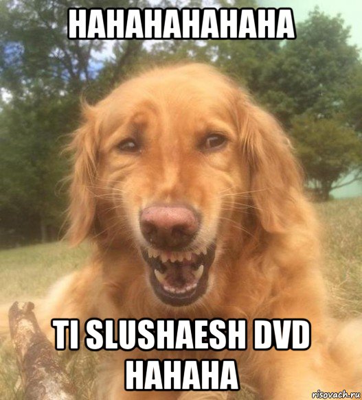 hahahahahaha ti slushaesh dvd hahaha, Мем   Когда увидел что соседского кота отнесли в чебуречную