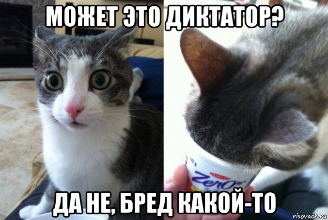 может это диктатор? да не, бред какой-то