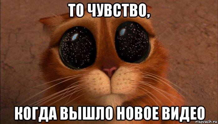 то чувство, когда вышло новое видео, Мем Кот из шрека