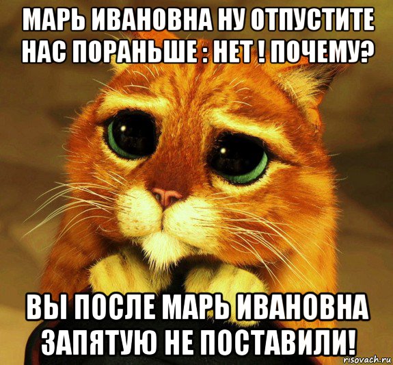марь ивановна ну отпустите нас пораньше : нет ! почему? вы после марь ивановна запятую не поставили!