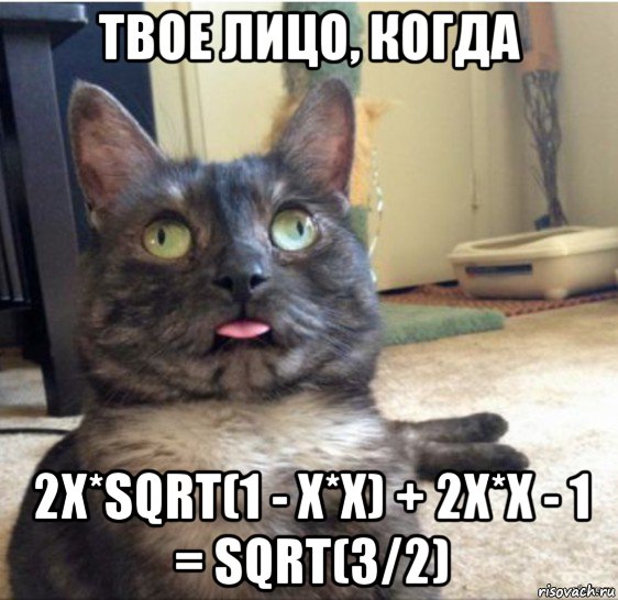 твое лицо, когда 2x*sqrt(1 - x*x) + 2x*x - 1 = sqrt(3/2), Мем   Кот завис