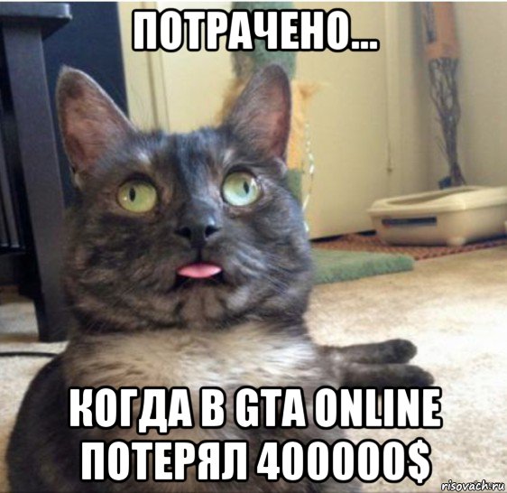 потрачено... когда в gta online потерял 400000$, Мем   Кот завис