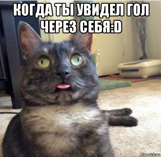 когда ты увидел гол через себя:d , Мем   Кот завис