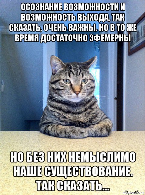 осознание возможности и возможность выхода, так сказать, очень важны. но в то же время достаточно эфемерны но без них немыслимо наше существование. так сказать..., Мем кот