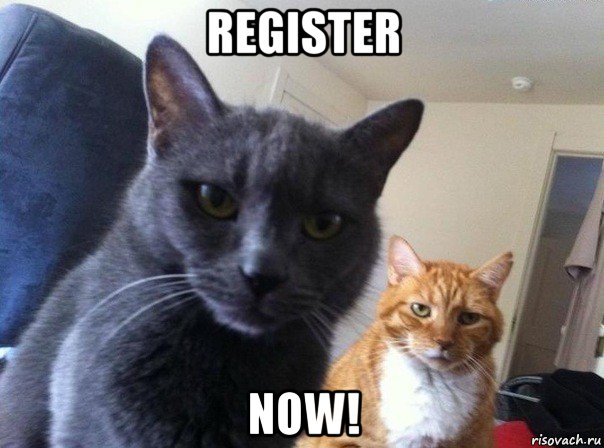 register now!, Мем  Два котэ