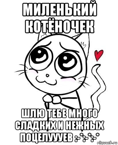 миленький котёночек шлю тебе много сладких и нежных поцелуууев :-*:-*:-*, Мем  Котейка-няша