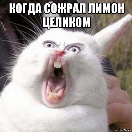 когда сожрал лимон целиком 