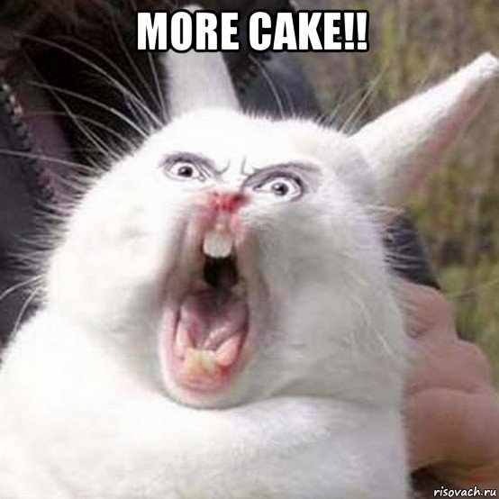 more cake!! 