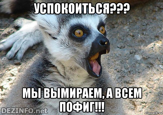 успокоиться??? мы вымираем, а всем пофиг!!!