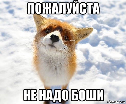 пожалуйста не надо боши