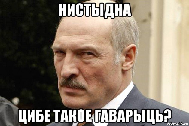 нистыдна цибе такое гаварыць?, Мем Лукашенко