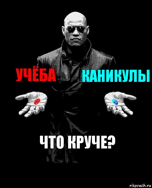 Учёба Каникулы Что круче?, Комикс Выбор