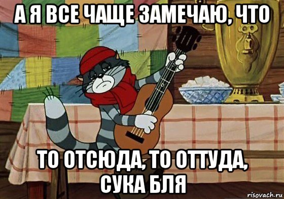 а я все чаще замечаю, что то отсюда, то оттуда, сука бля, Мем Грустный Матроскин с гитарой