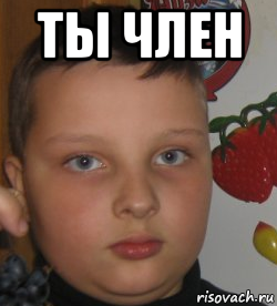 ты член 