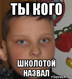 ты кого школотой назвал