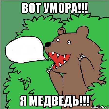 вот умора!!! я медведь!!!