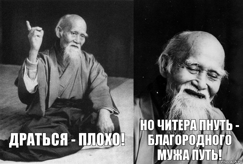 Драться - плохо! Но читера пнуть - благородного мужа путь!, Комикс Мудрец-монах (2 зоны)