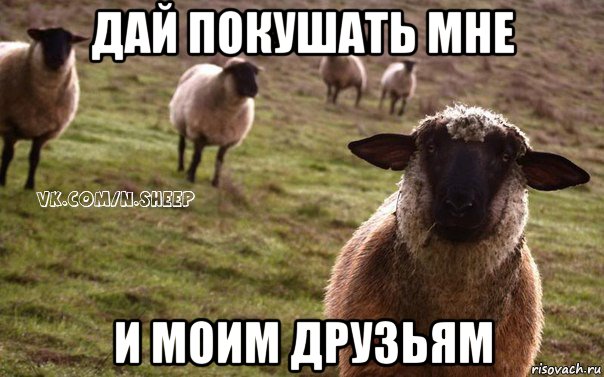 дай покушать мне и моим друзьям, Мем  Наивная Овца