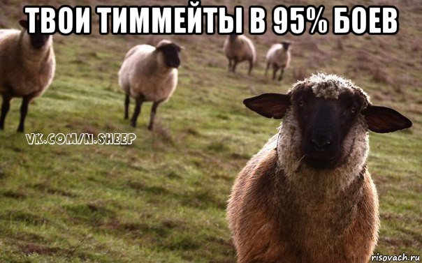 твои тиммейты в 95% боев , Мем  Наивная Овца