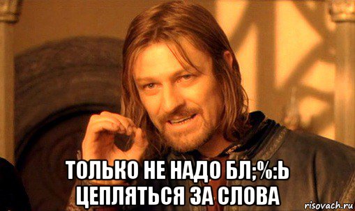  только не надо бл;%:ь цепляться за слова, Мем Нельзя просто так взять и (Боромир мем)