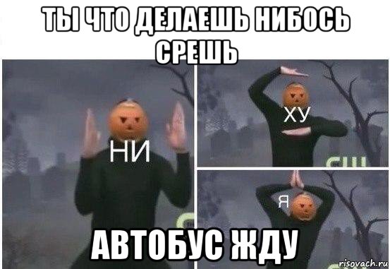 ты что делаешь нибось срешь автобус жду, Мем  Ни ху Я