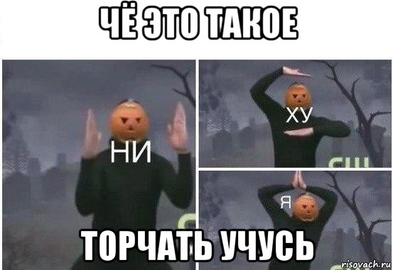 чё это такое торчать учусь, Мем  Ни ху Я