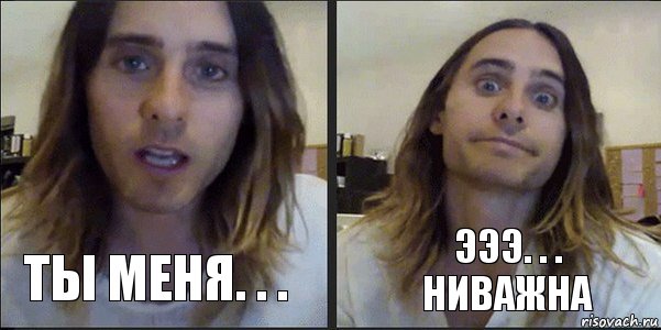 ты меня. . . эээ. . . ниважна, Комикс  ниважна