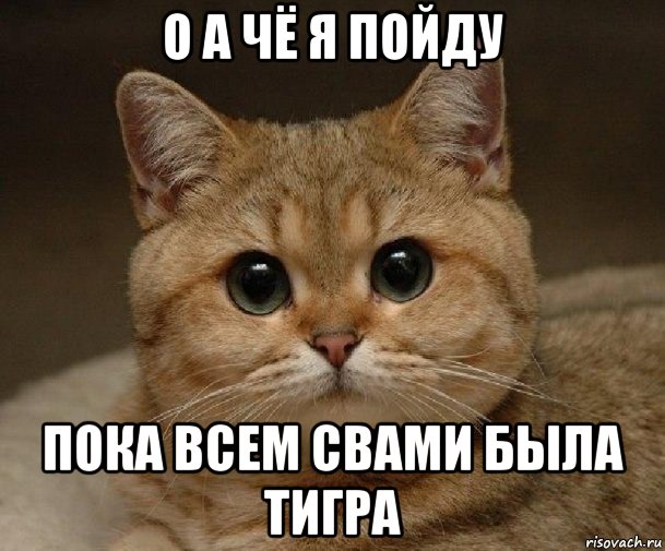 о а чё я пойду пока всем свами была тигра