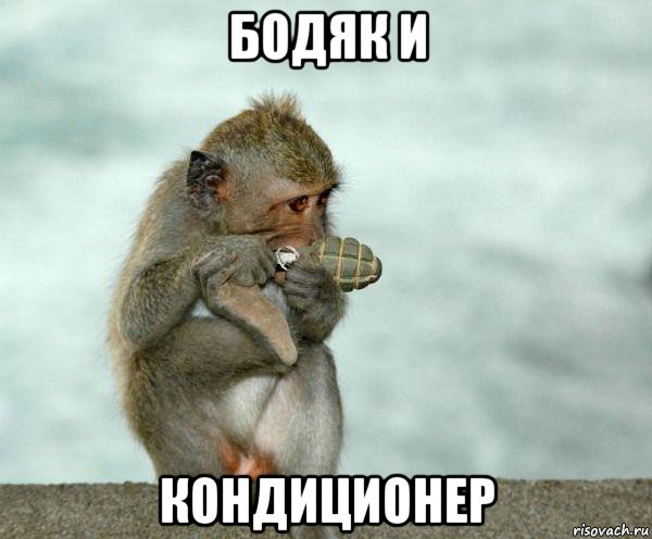 бодяк и кондиционер