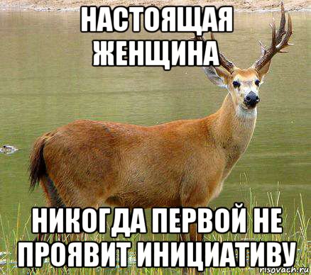 настоящая женщина никогда первой не проявит инициативу, Мем олень года