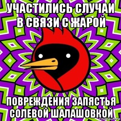 участились случаи в связи с жарой повреждения запястья солевой шалашовкой, Мем Омская птица